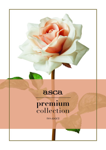 【premium collection no.002カタログ発刊】