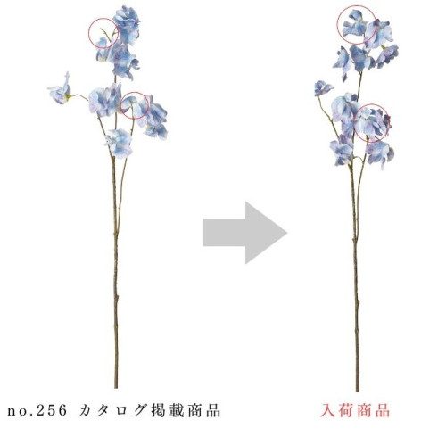 202608271817090.jpg