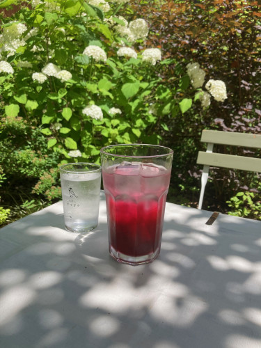 Homemade SHISO Juice 2026