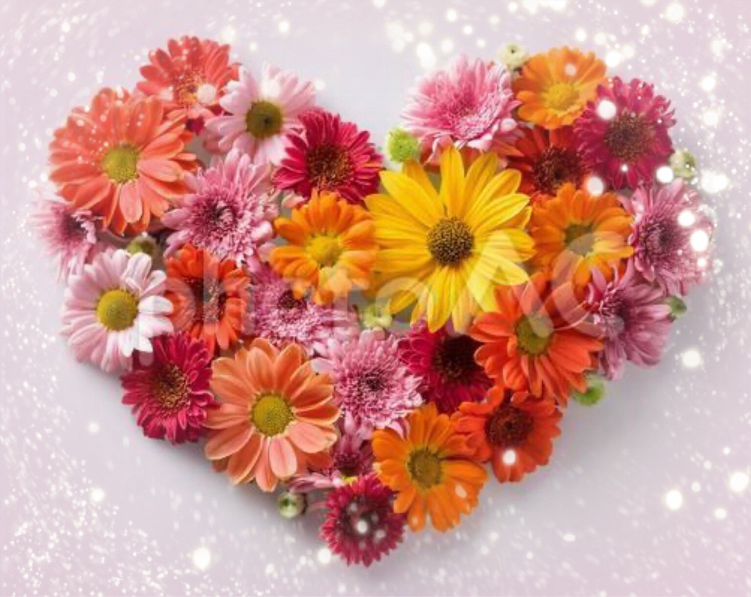 ##ご成婚　おめでとうございます😊🩷