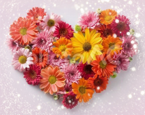 ##ご成婚　おめでとうございます😊🩷