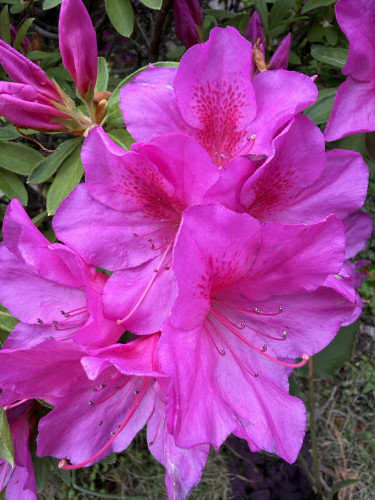 #初デートで心掛けたいポイント❤️❤️