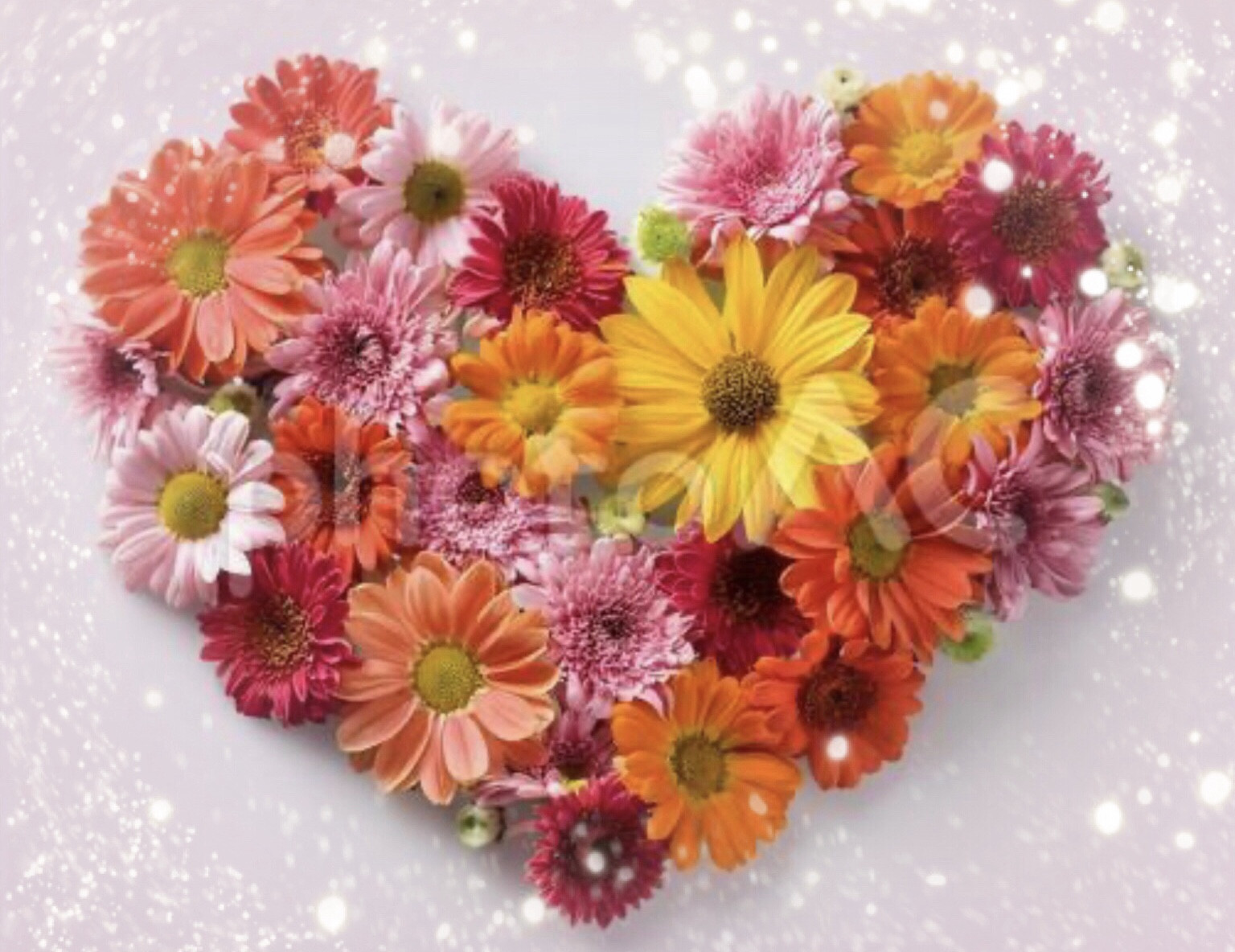 お誕生日おめでとうございます🎂💐