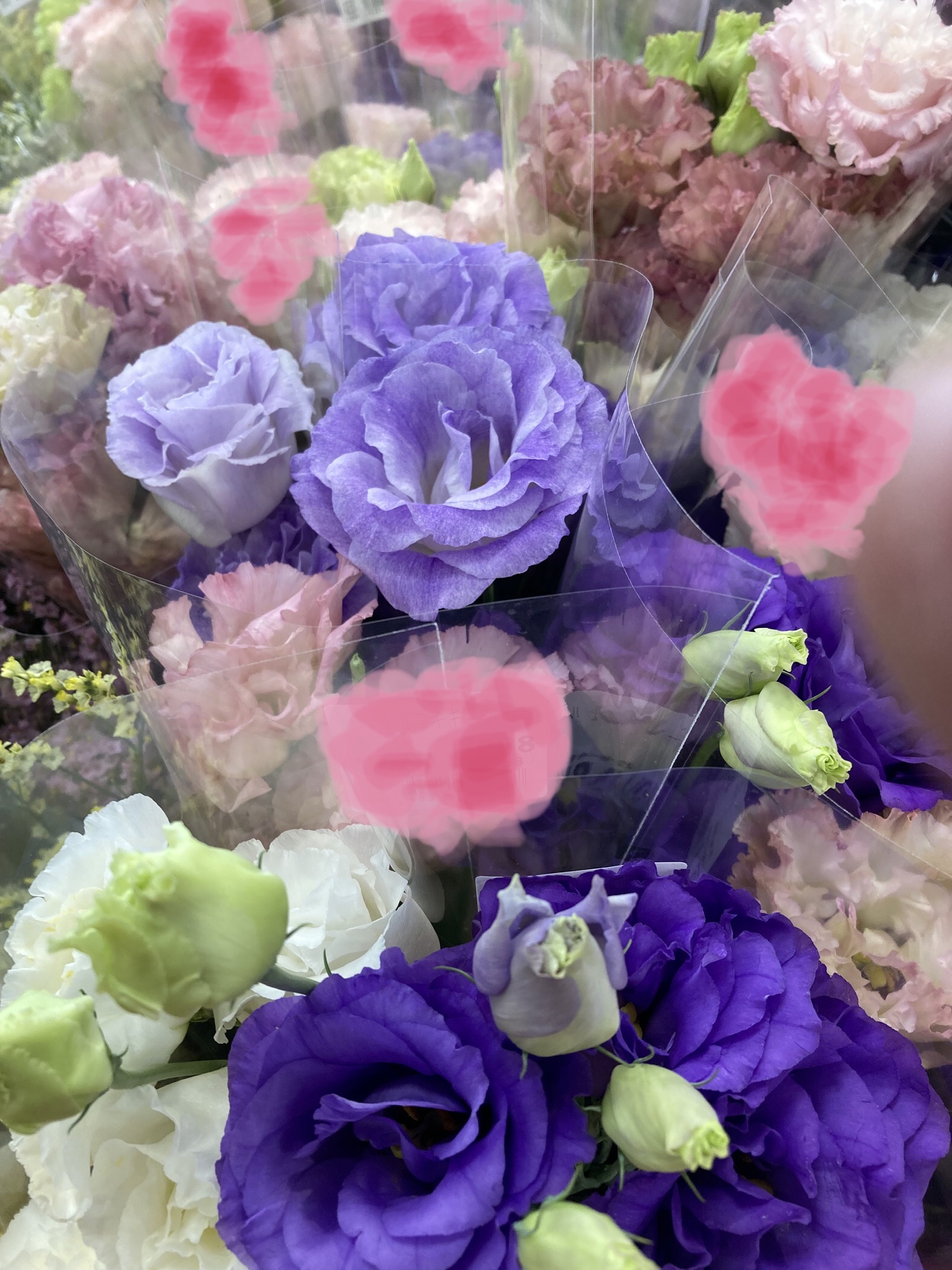 安心して相談できる婚活**を心がけています❣️