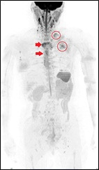 mri_007.jpg