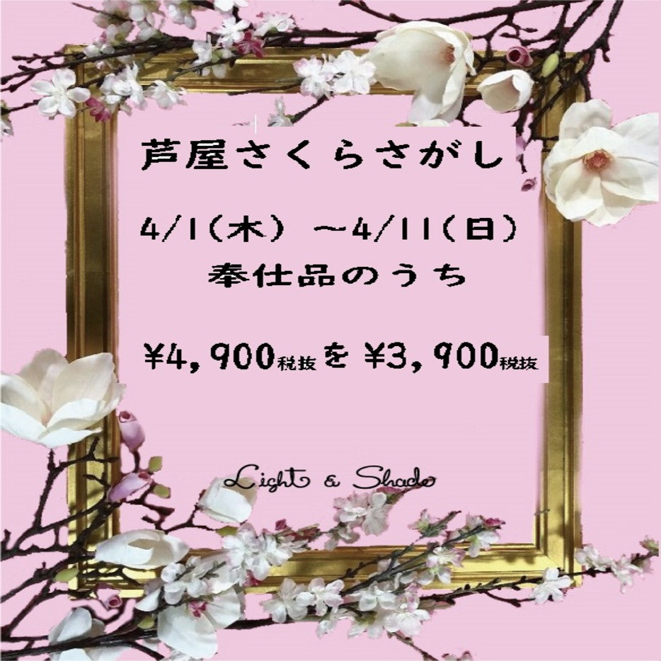 ライト アンド シェード 芦屋さくらさがし