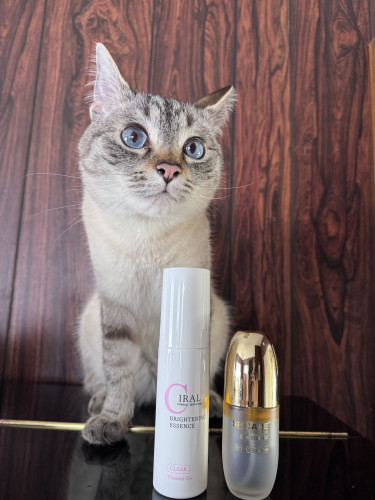 スピケア新商品!!