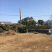 IMG_7125.JPG