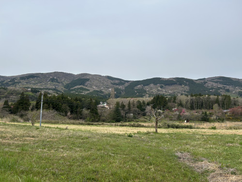 IMG_5943.JPG