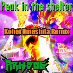 ARK-DOE_Peak_kohei_remix_完成_resize360.jpg