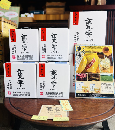 かめ雫 入荷しました‼️