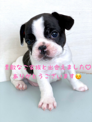 ご家族が決まりました♡