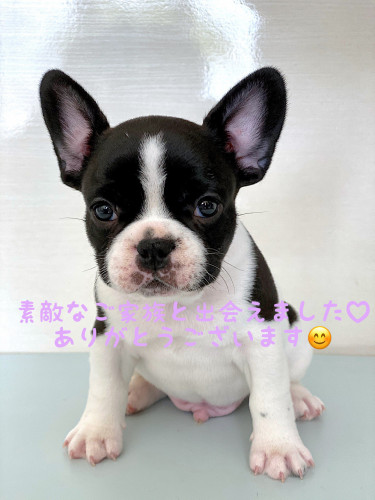 ご家族が決まりました✨