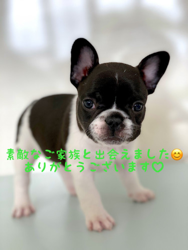 ご家族が決まりました♡