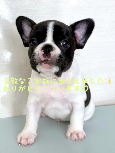 ご家族が決まりました✨