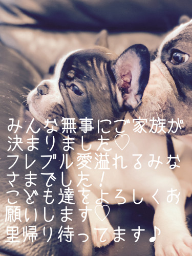 2021.4.4生まれ組♡みんなご家族が決まりました✨
