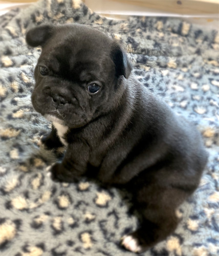 さくらBaby♡ご家族様募集中です
