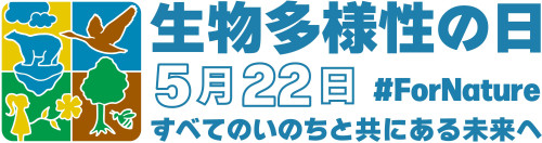 idb-logo-jp-4色横キャッチフレーズ2.jpg