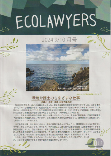 EOLAYWYERS1.jpg