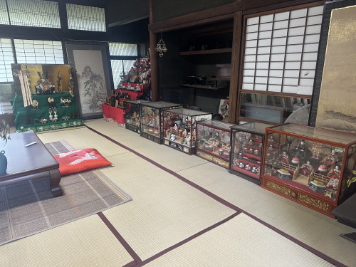 IMG_4433.jpeg