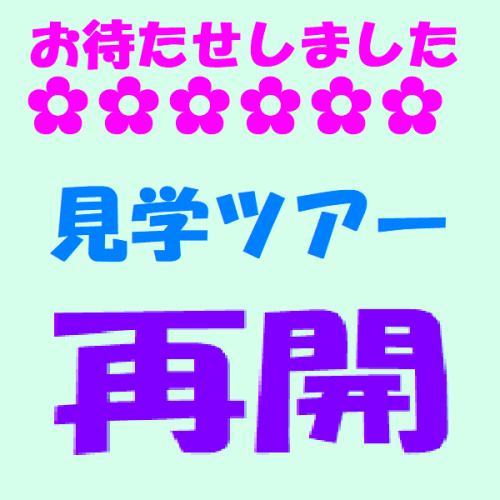 見学ツアー再開！！