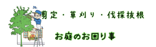 1760225843356.jpg
