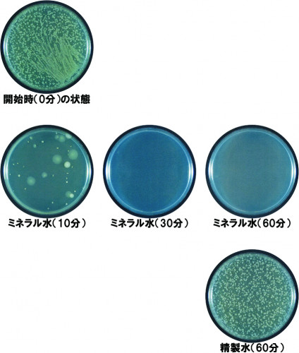大腸菌DATA2.jpg