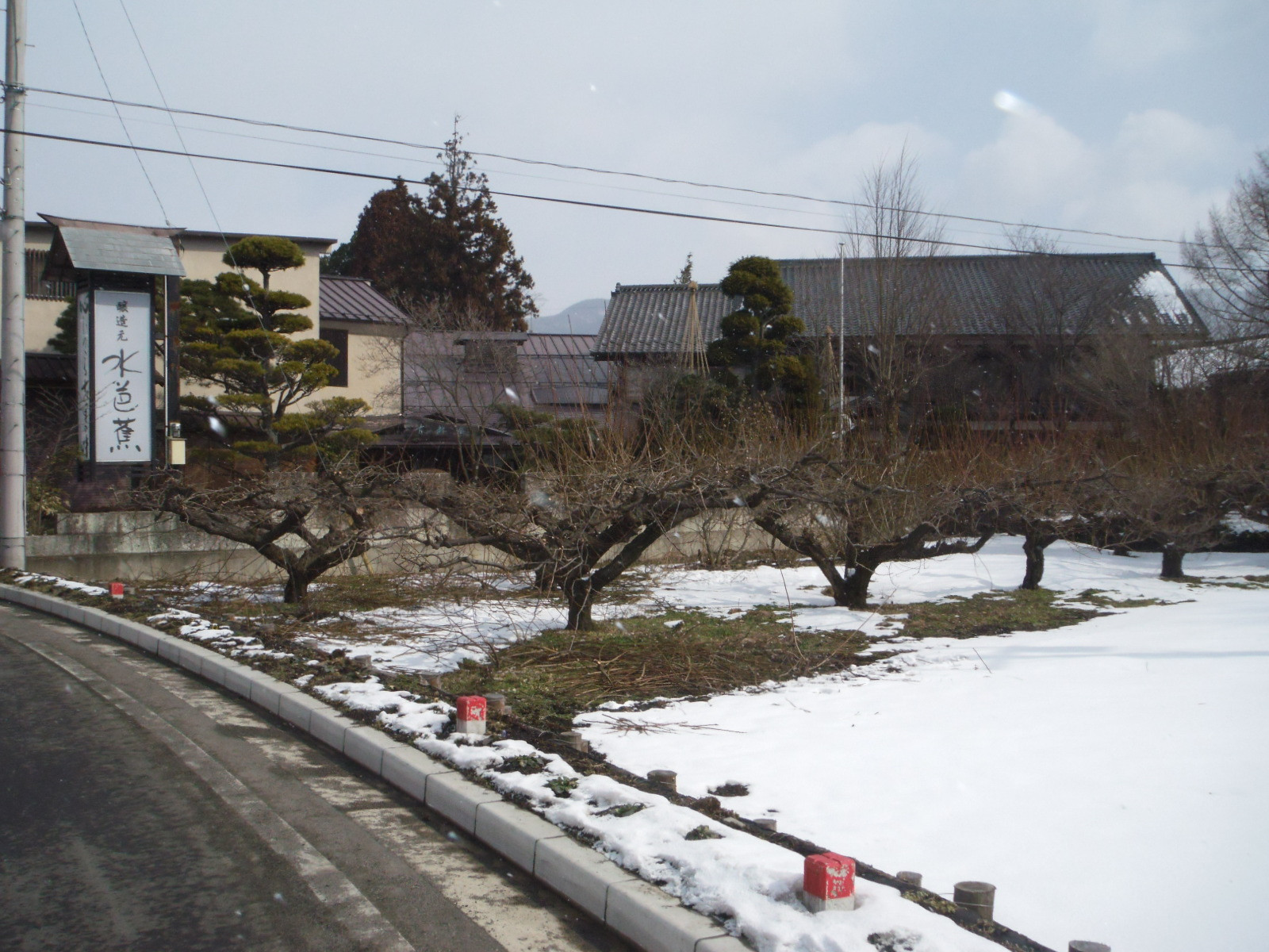 DSCF9605.JPG