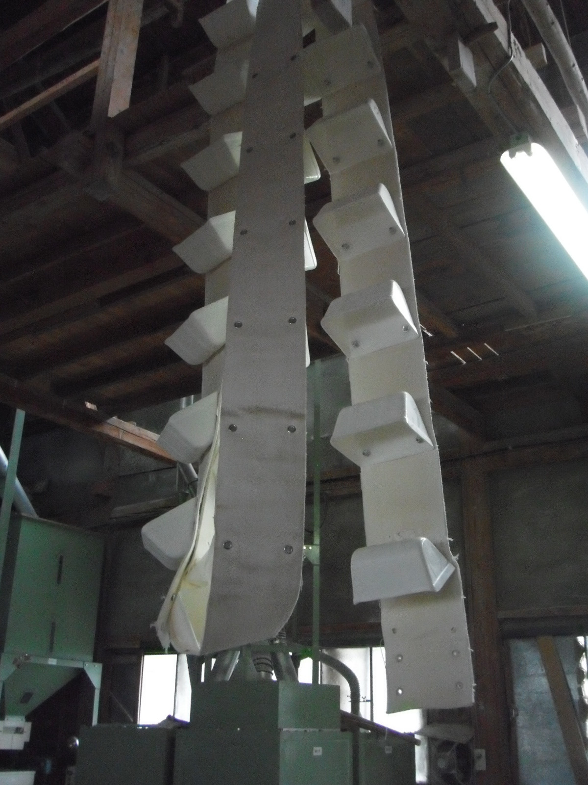 DSCF9818.JPG