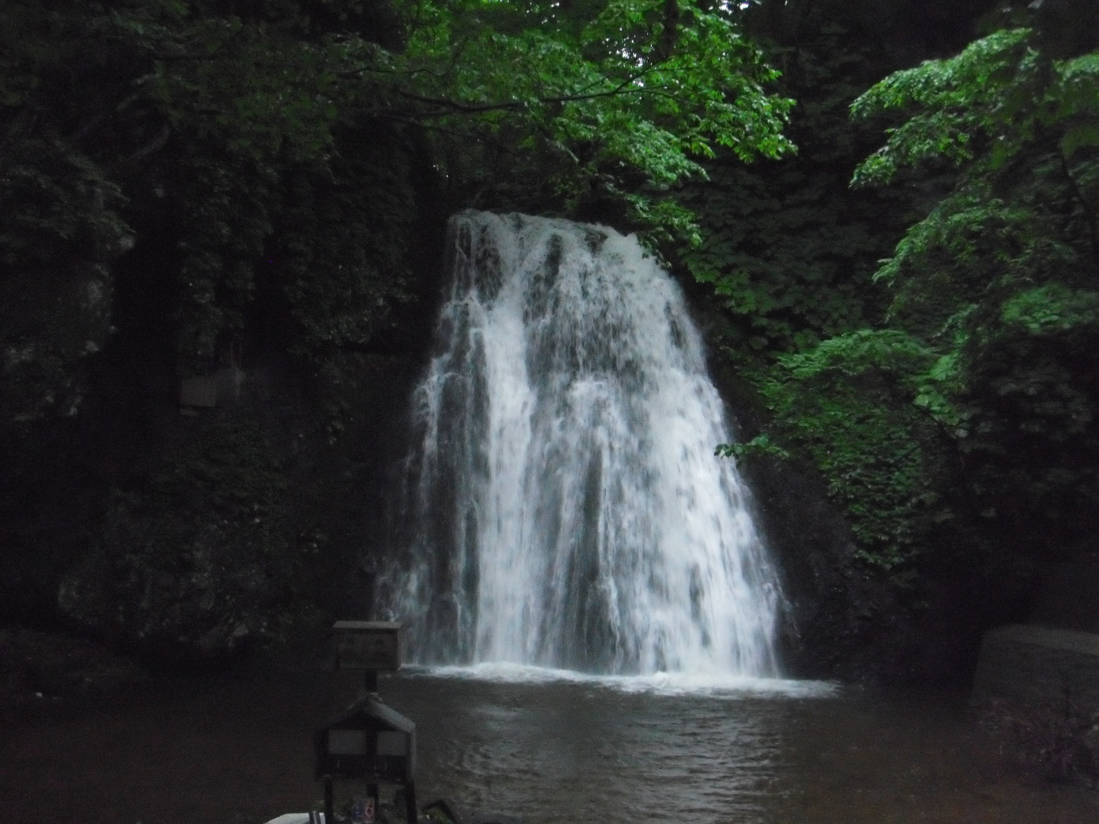 DSCF9828.JPG