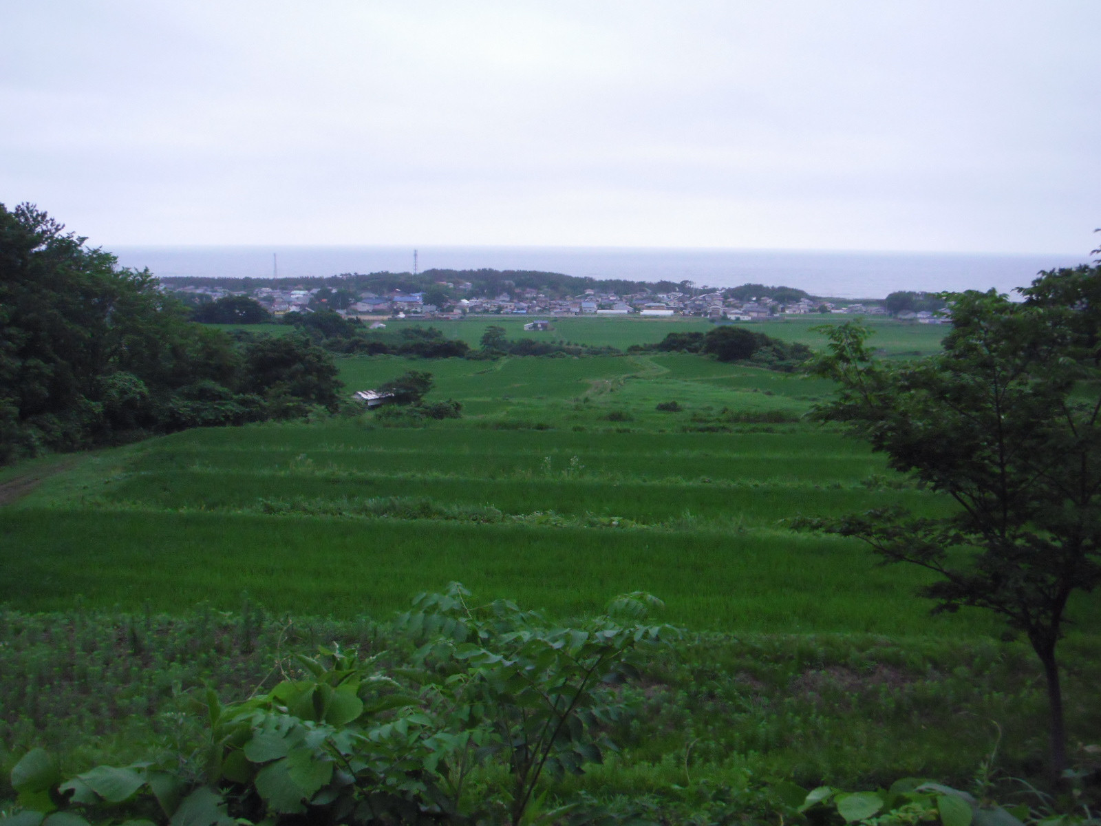 DSCF9835.JPG