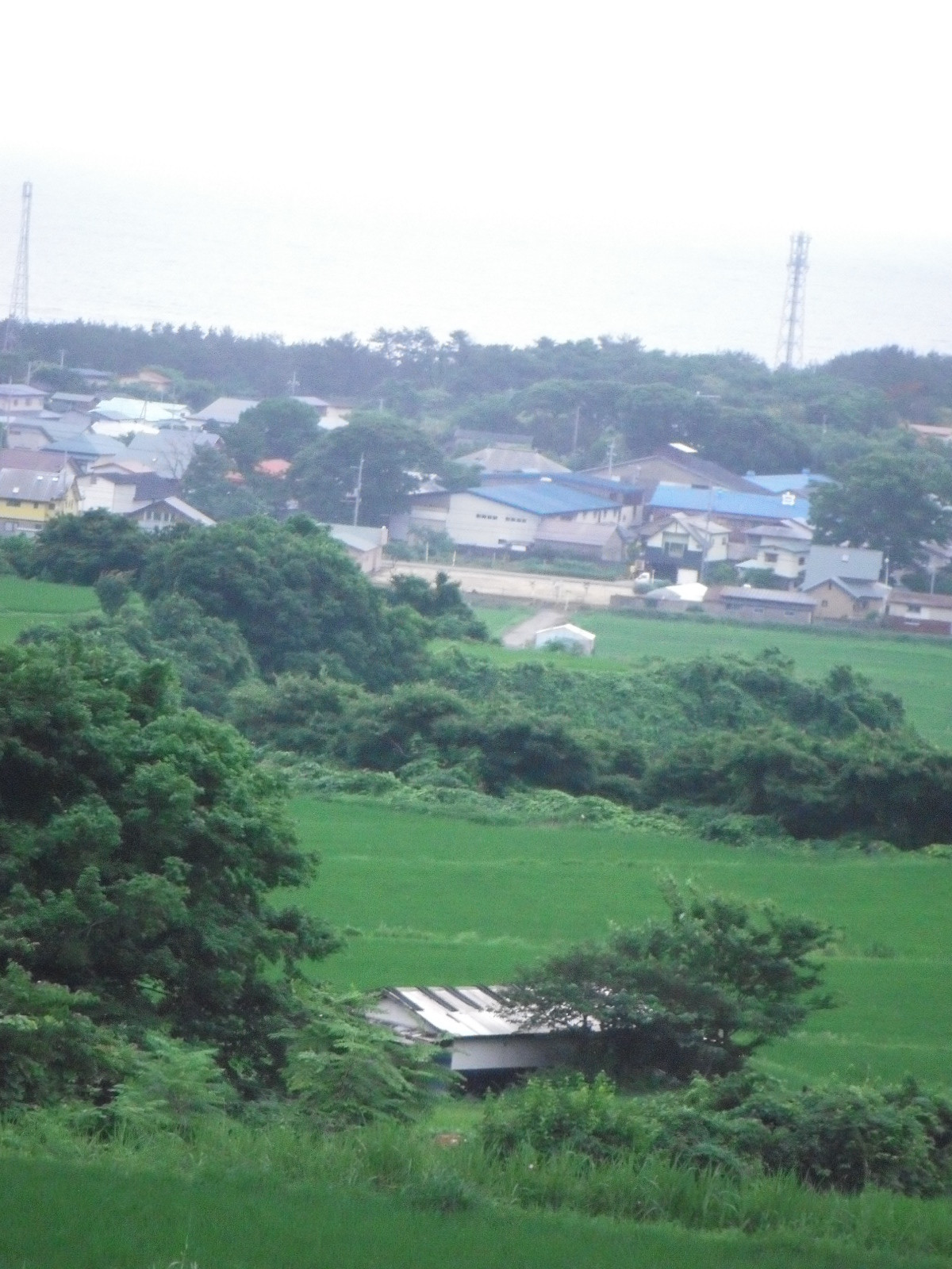 DSCF9839.JPG