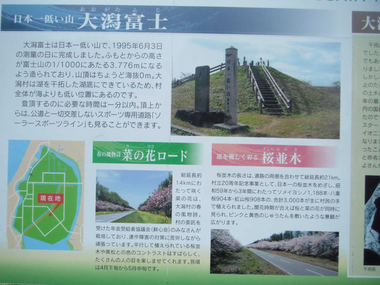 DSCF9916.JPG