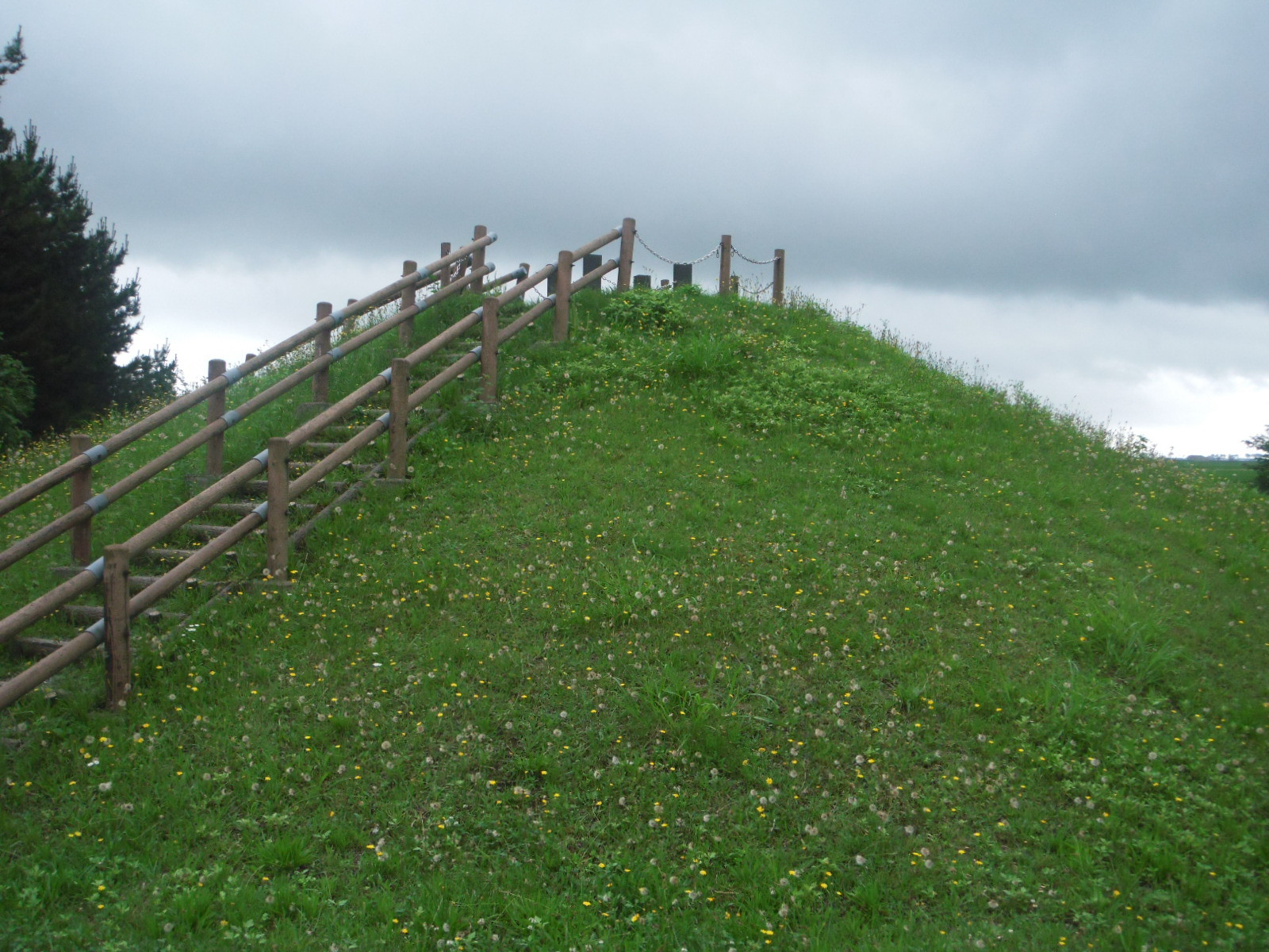 DSCF9921.JPG