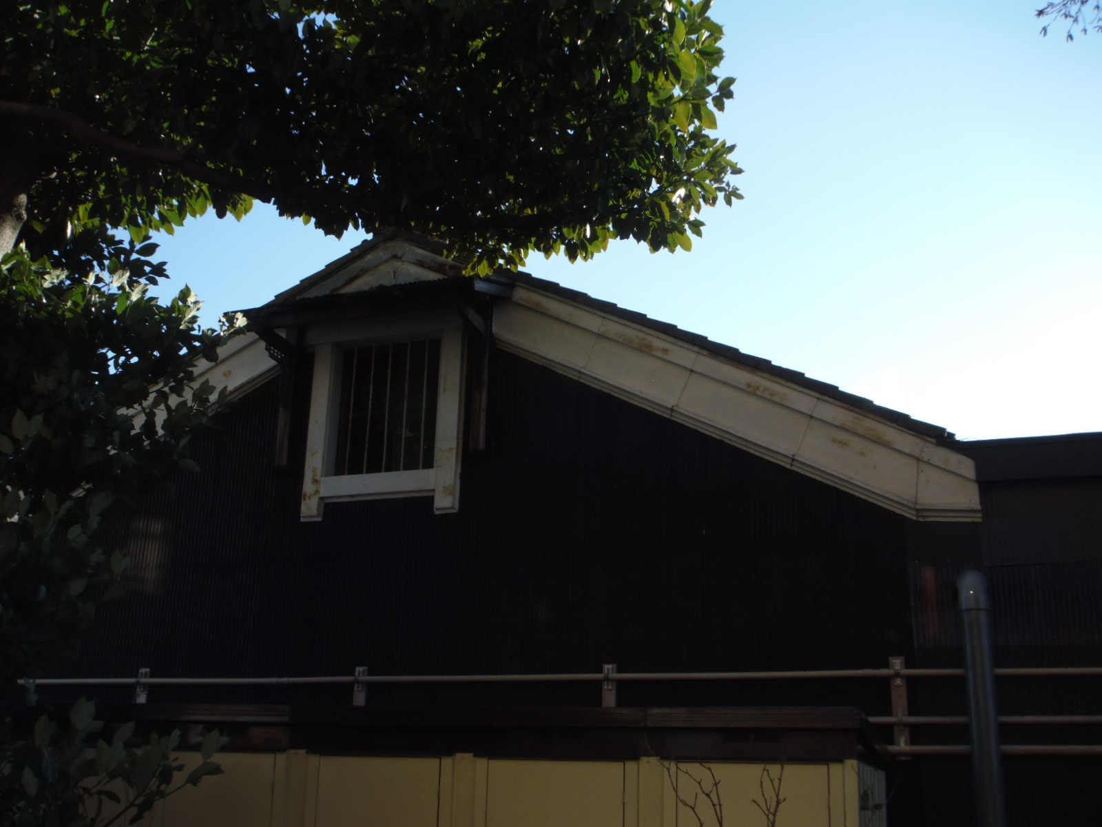 DSCF0167.JPG