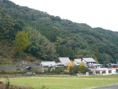 P1070051.JPG
