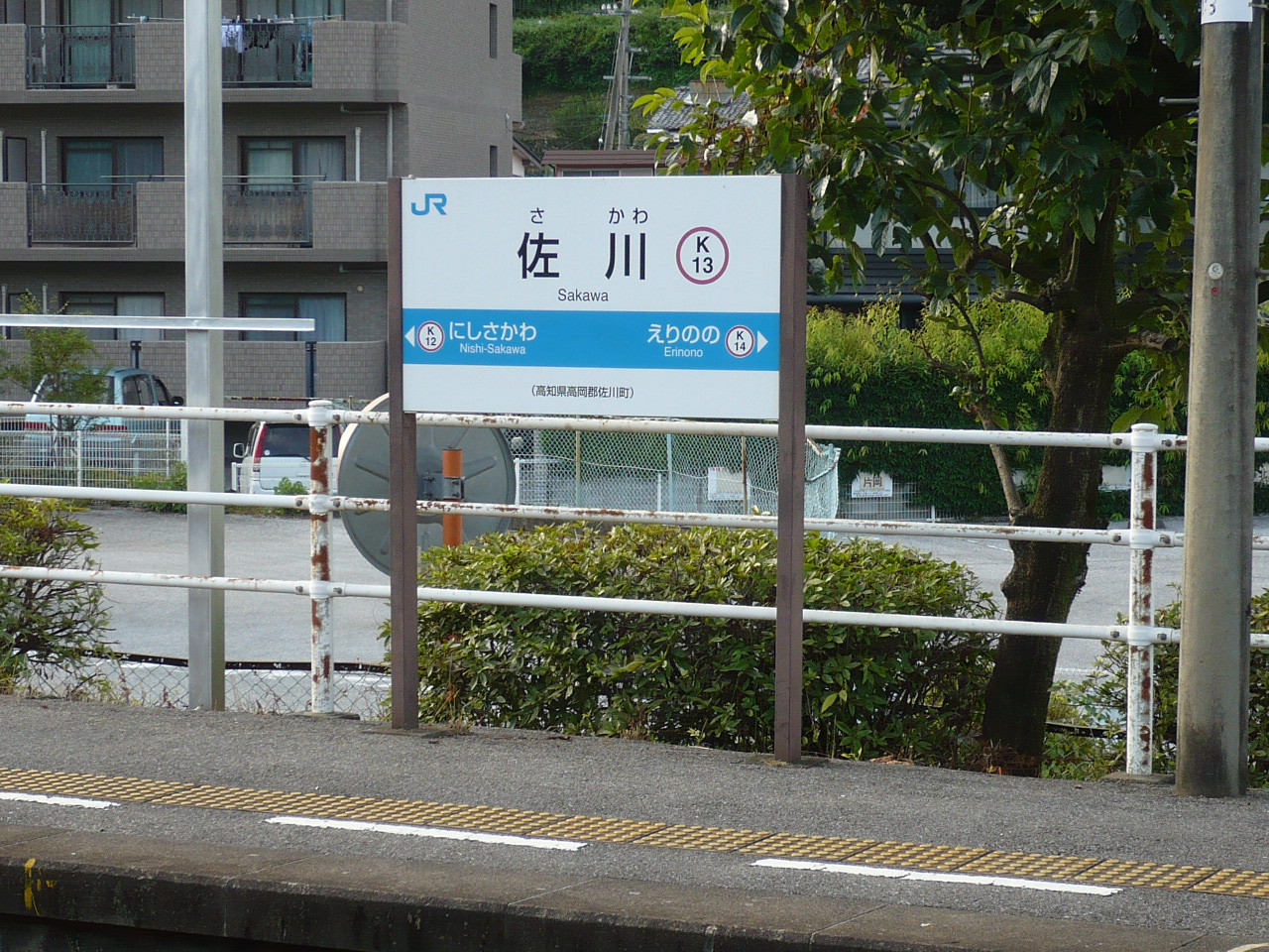 P1000705.JPG