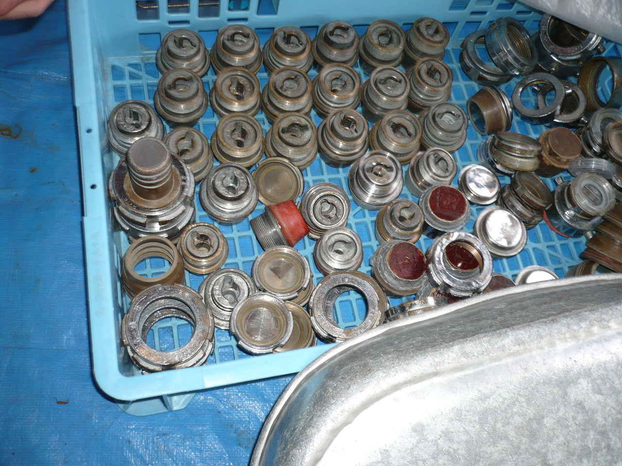 P1000823.JPG