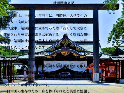 A1947724-8767-4AD3-A1CC-55EB247FE632.jpeg