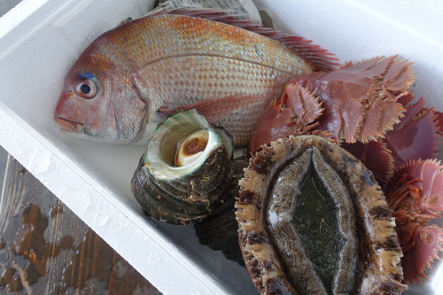 新鮮な魚介類の宅配できます
