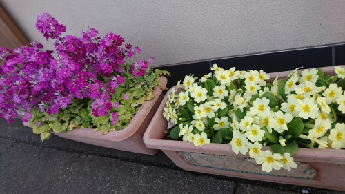 DSC_8319.JPG