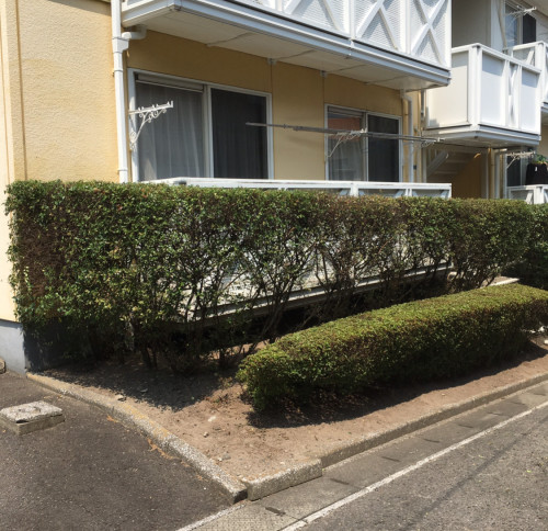 草刈り、剪定