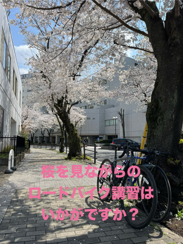 IMG_0820.jpeg