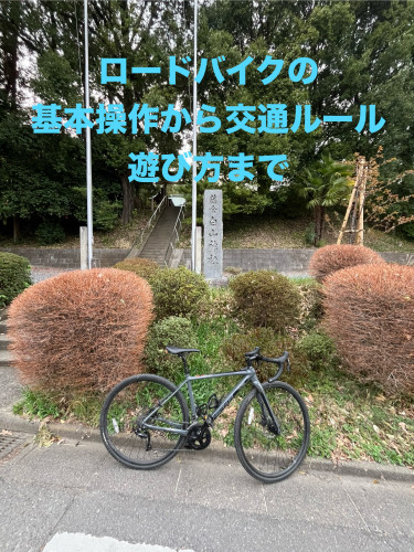 IMG_0815.jpeg