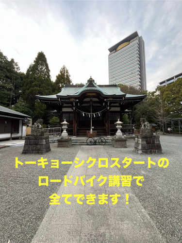 IMG_0816.jpeg