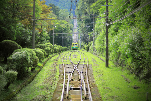 高尾山