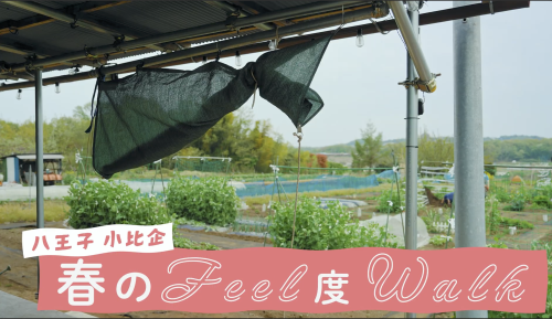 スクリーンショット 2025-05-28 8.47.50.png