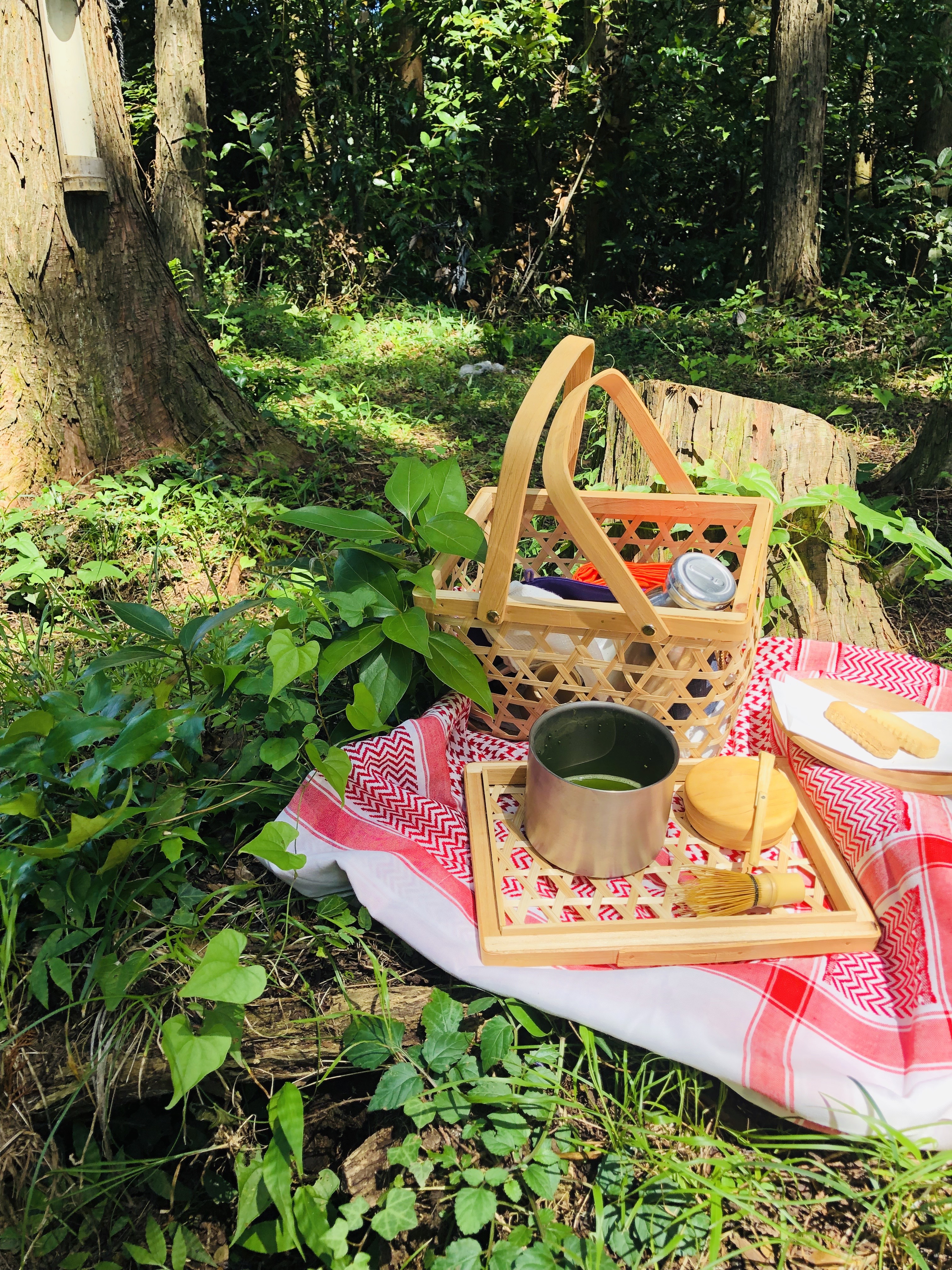 森のピクニック茶会