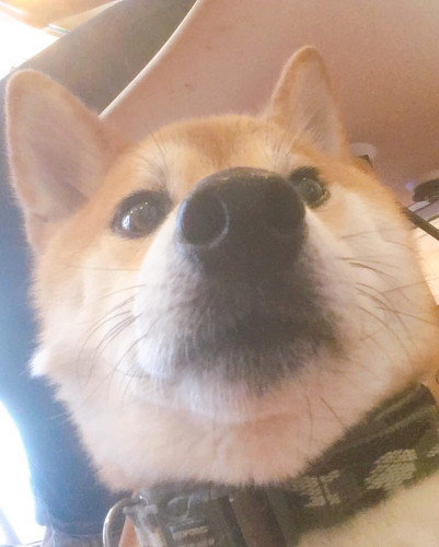 1B3CE41E-7796-4269-91FF-AA9C2EA2DC1E.jpeg