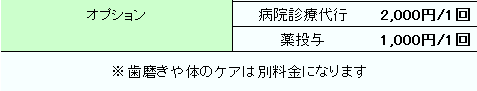 オプション.png